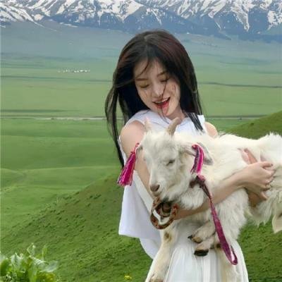 大卫·福斯特:金曲之路